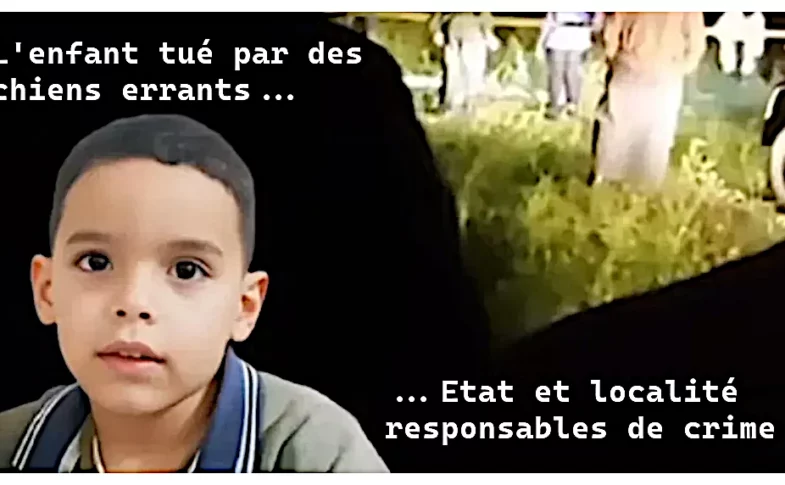 Tragédie d'un enfant tué par des chiens errants à Djelfa en Algérie